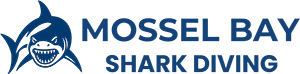 Shark Divers Mossel Bay Logo