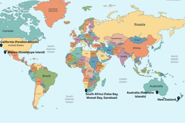 World map highlighting major great white shark locations